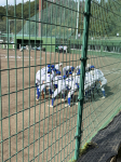 第153回北信越地区高等学校野球 長野県大会 中信地区1次戦